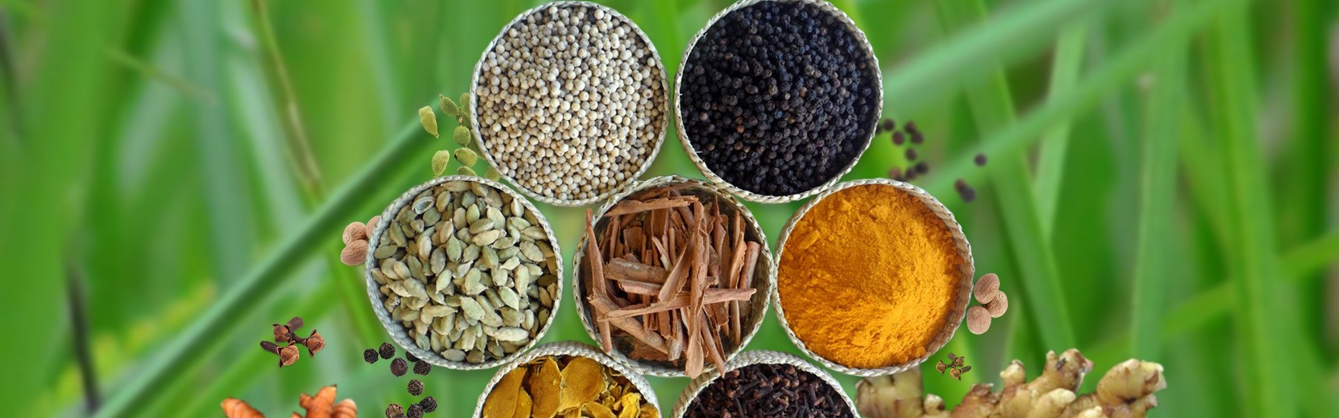 100% ORGANIC SPICES